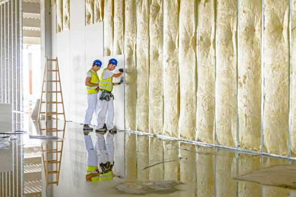Best Spray Foam Insulation in Jacksonvle, IL